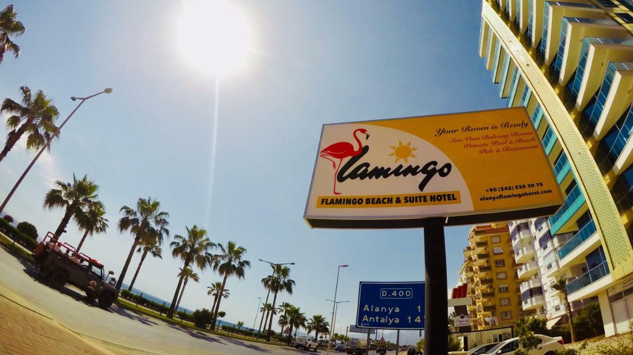 Flamingo Beach & Suite Mahmutlar Exterior foto